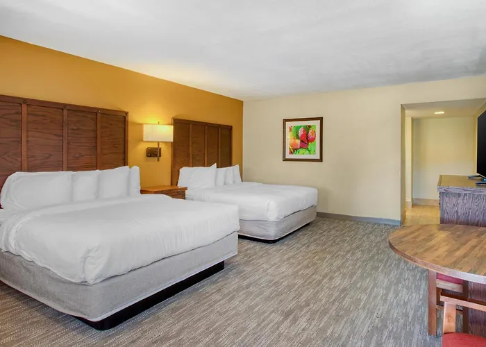 Hotel Western Rancho Grande 3*